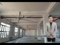 5학교 및 체육관 공간에서 최적의 공기 순환을 위해.0M 16FT 큰 팬