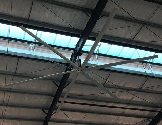 좋은 가격 380AC 1.5kw 모터 대형 패들 엑스트라 대형 거대 천장 팬 온라인으로