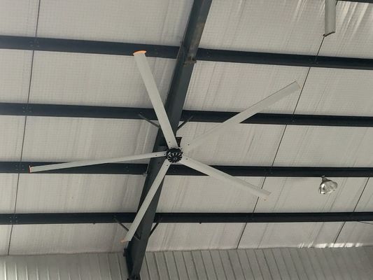 좋은 가격 농구 스포츠 센터 5.4M 17ft 1.5KW 긴 블레이드 천장 팬 온라인으로